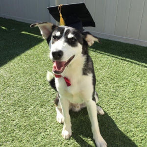 Meet your Posher, Darlene